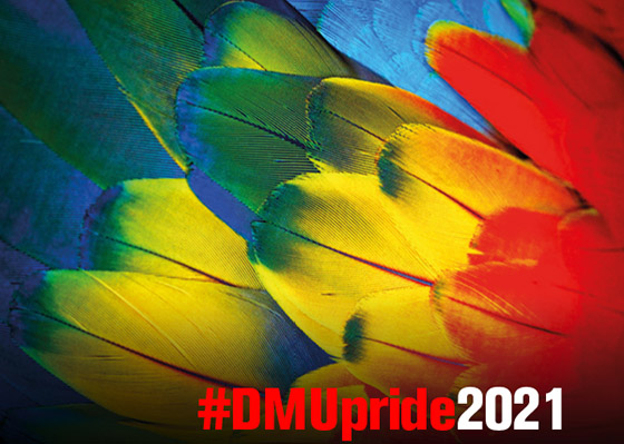 DMU Pride 560x