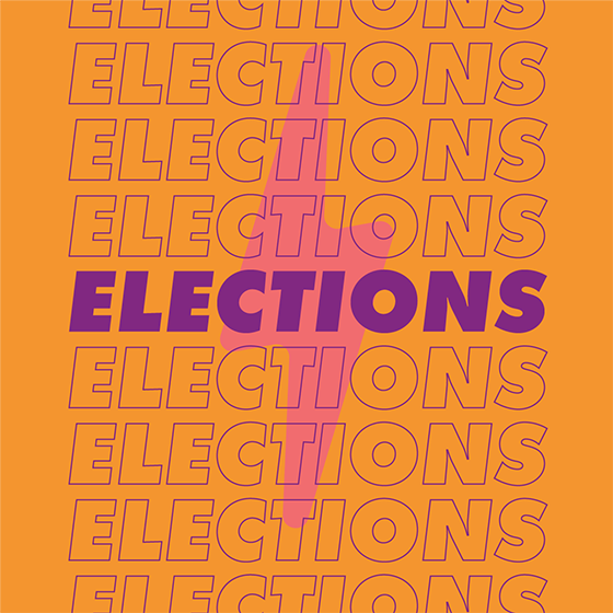 DSU elections main