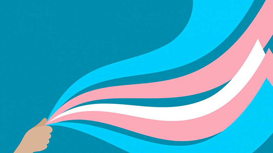 transgender flag main