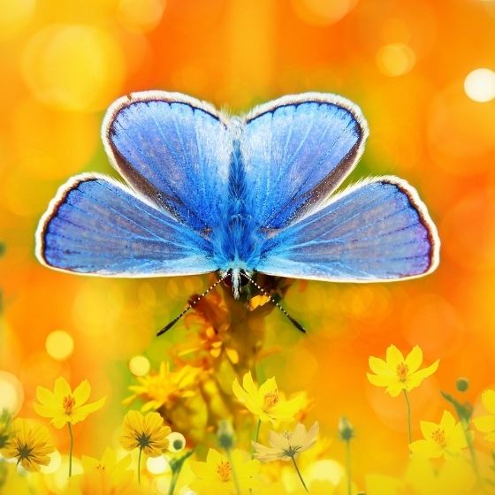 world environment day main