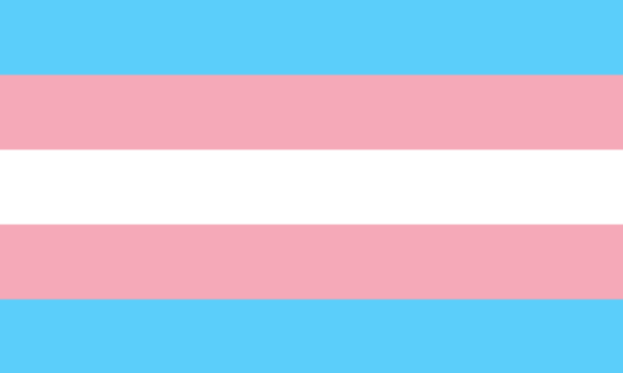 trans flag main
