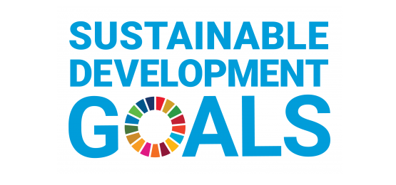 SDG-inset