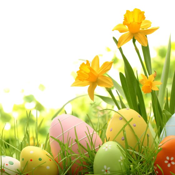 Untitled design (14)