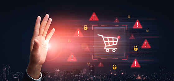 cyber-shopping-scam-warning-main-stu