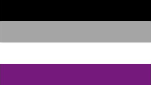 DMU - Asexual Pride Flag
