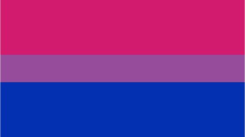 DMU - Bisexual Pride Flag