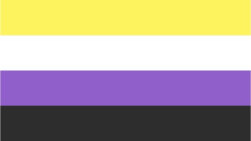 DMU - Non-binary Pride Flag