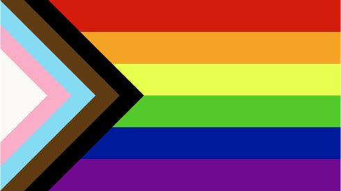 DMU-Progress Pride Flag