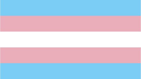 DMU - Transgender Pride Flag