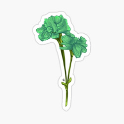 pride-green-carnation-symbol-250x250