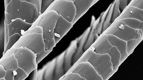 Machine washable wool