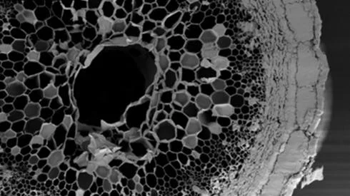 Textile Engineering and Materials Research Group (TEAM)