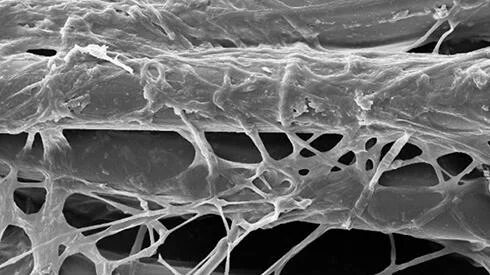 Textile Engineering and Materials Research Group (TEAM)