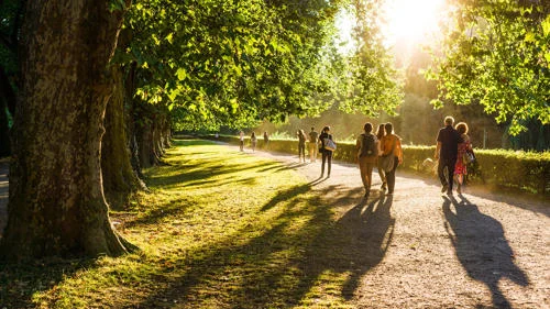 Local gems: things to do near campus