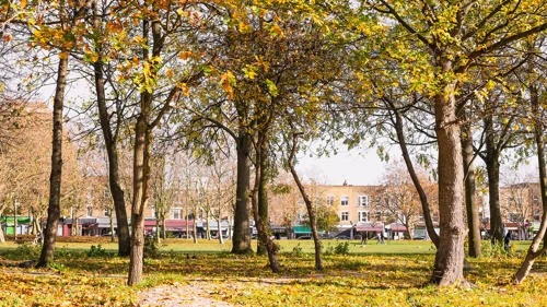 Spotlight on Stepney - peaceful living with fast city links