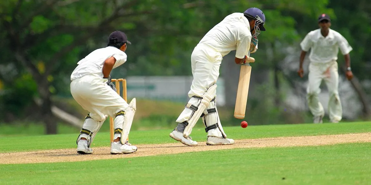 That summer an army of crickets started. Крикет. Спорт в великобритании крикет. Крикет в дубае. Крикет в британии.