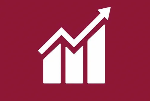 The DMU Sustainable Development Goals report 2025: SDG 8 Decent Work and Economic Growth