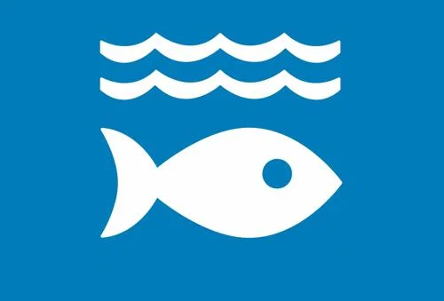 The DMU Sustainable Development Goals report 2025: SDG 14 Life Below Water