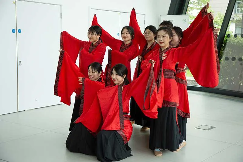 Lion dance and performances