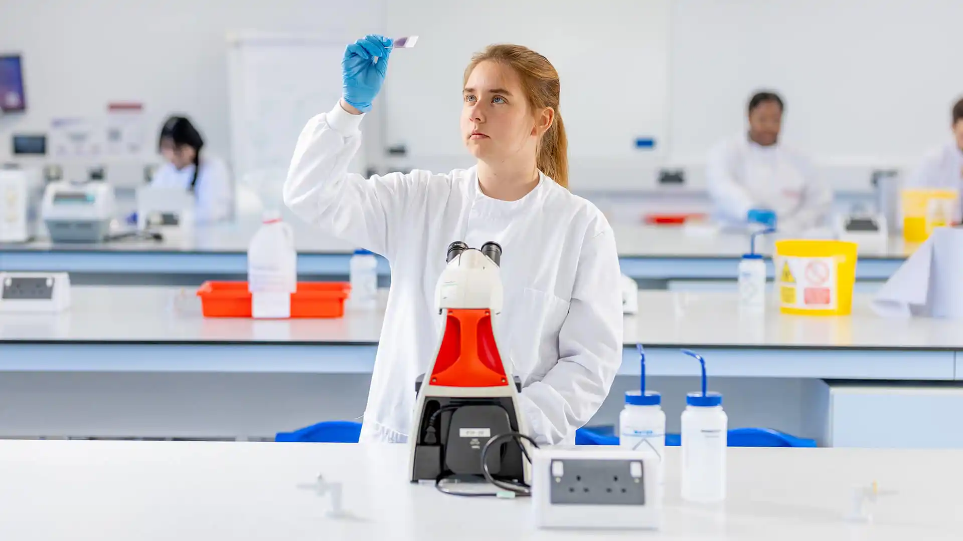 Eng Lab Biomedical Biomedical Engineering BEng/MEng (Hons)- with optional placement year