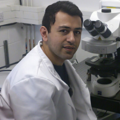 Profile picture for Mohsen Seifi