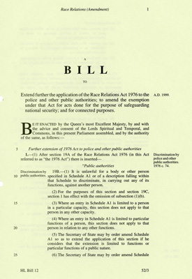Detail of the Race Relations Amendment Bill.