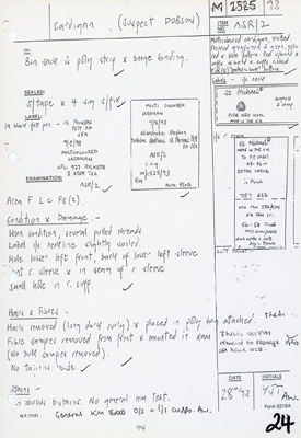 1993 forensic report on an item of clothing taken from one of the suspects.