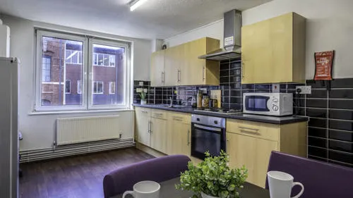Kitchen and lounge area
